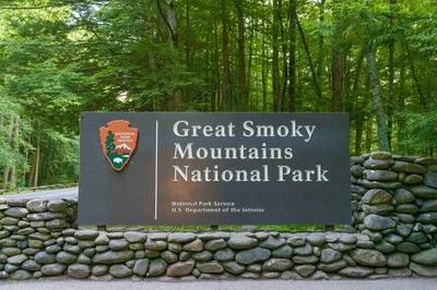 the national park is a must for a group trip to the Smokies