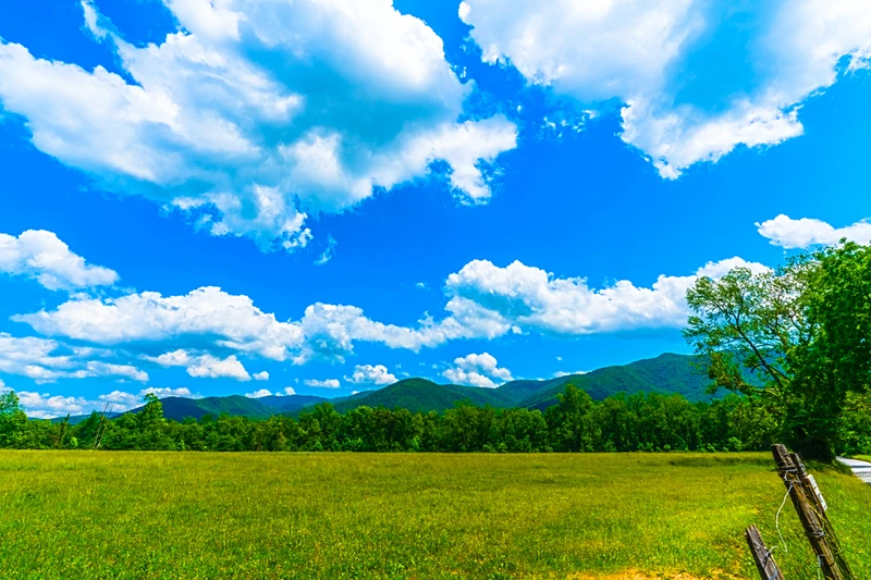 cades cove in great smoky mountains national park