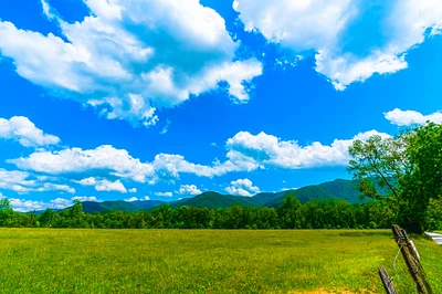 cades cove in great smoky mountains national park