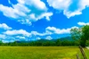 cades cove in great smoky mountains national park